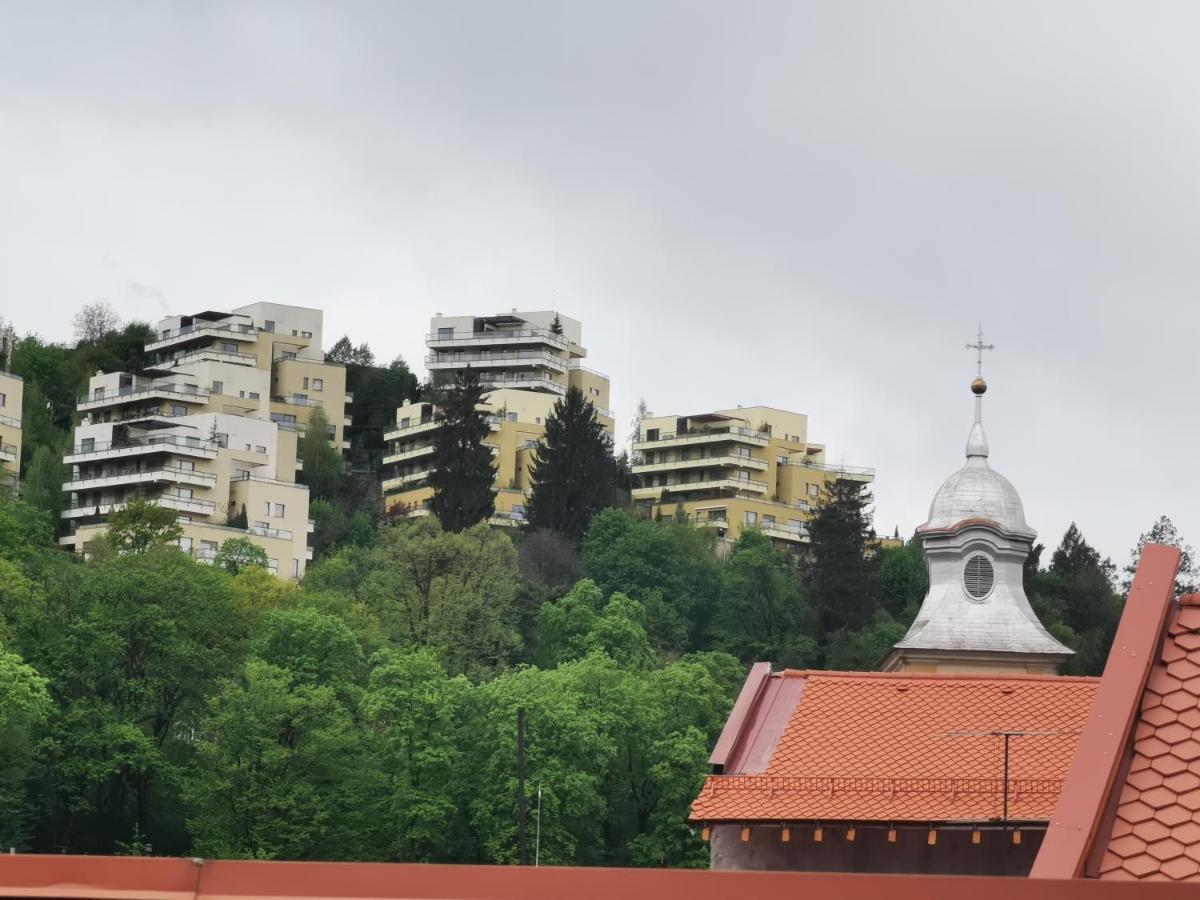 Crystal Central Apartment Брашов Экстерьер фото